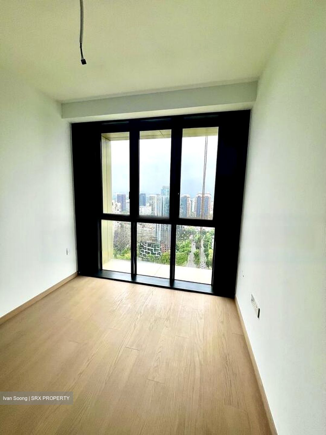 Irwell Hill Residences (D9), Apartment #594628051